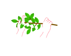 玉串奉奠の作法のイメージ1